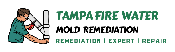 Expert Water Damage Restoration Services in Tampa, FL